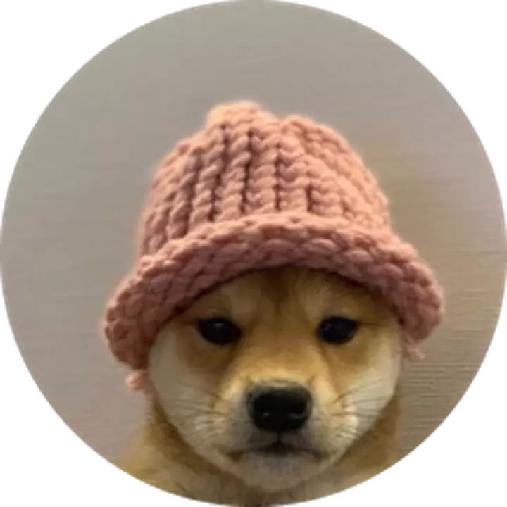 dogwifhat